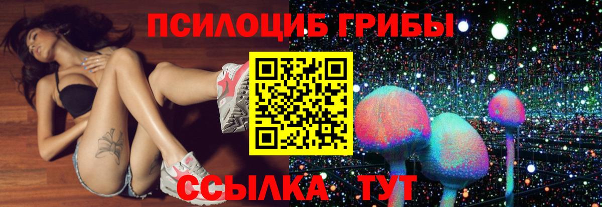 Псилоцибиновые грибы MAGIC MUSHROOMS  Вход с VPN  Костомукша 
